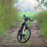 rower w lesie wiosną